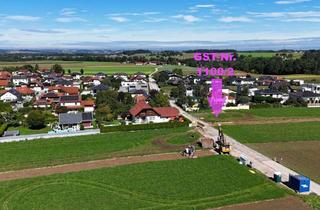 Grundstück zu kaufen in Frohnhofen, Fichtenstraße, Buchenstraße 1100/2, 4652 Steinerkirchen an der Traun, Ebenes Baugrundstück im Grünen | Steinerkirchen Frohnhofen | GST-Nr. 1100/2