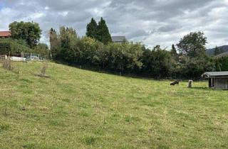 Grundstück zu kaufen in 5302 Henndorf am Wallersee, Sonniges Baugrundstück in Henndorf