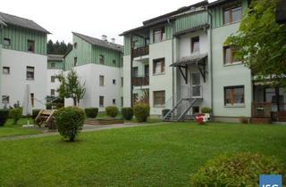Wohnung mieten in Waldpoint 9/64, 4850 Timelkam, 3-Zimmerwohnung in 4850 Timelkam, Waldpoint 9 Top 64