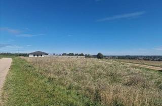 Grundstück zu kaufen in 2425 Nickelsdorf, Grundstück mit Weitblick am Weinberg in Nickelsdorf- bereits aufgeschlossen