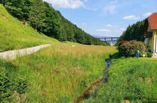Grundstück zu kaufen in 9433 Schönweg-St. Andrä, Update! - Wohnbau-Grund mit Garten-Anteil. - Ruhelage nahe St. Andrä. - Leben im Grünen.
