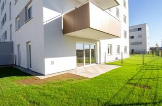 Wohnung mieten in Geranienstraße, 4481 Asten, Erstbezug: 2 Zimmer Wohnung mit Eigengarten