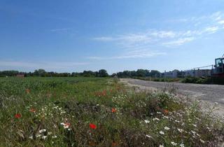 Grundstück zu kaufen in 2474 Gattendorf, NATURNAH NEUE SIEDLUNG NÄHE WIEN BRATISLAVA