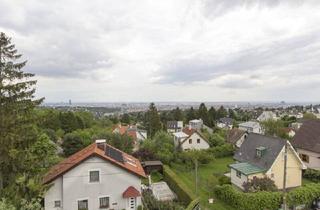 Haus mieten in 1170 Wien, *** TRAUMHAUS AM HEUBERG *** EINLIEGERWOHNUNG *** SPA-BEREICH *** WIENBLICK ***