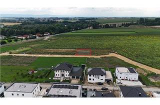 Grundstück zu kaufen in 2011 Sierndorf, Provisionsfrei: Südseitiges Baugrundstück mit toller Infrastruktur!