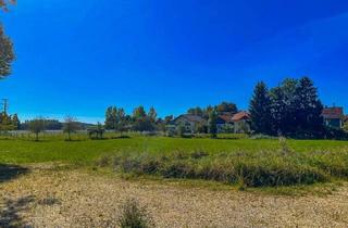 Grundstück zu kaufen in Forchtenau 44, 4971 Aurolzmünster, „Attraktives Baugrundstück am Ortsrand von Forchtenau – 3.815 m² für bis zu 10 Einheiten“