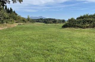 Grundstück zu kaufen in Am Trompeterbichl, 9062 Moosburg, "Sechs ebene, sonnige Baugrundstücke in der Marktgemeinde Moosburg!"