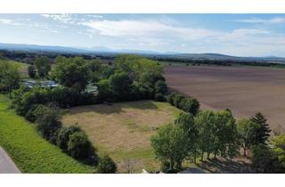 Grundstück zu kaufen in Eisenstädter Straße, 7011 Siegendorf, Einmalige Gelegenheit: Großzügiges Grundstück umgeben von Äckern mit Baulandanteil und Weitblick