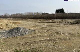 Grundstück zu kaufen in 8472 Vogau, ++ LAGE, LAGE ++ GEWERBEGRUNDSTÜCK an der A9 AUTOBAHNABFAHRT bzw. -AUFFAHRT ST. VEIT VOGAU ++ TEILUNG MÖGLICH ++ BD KG 0,2 - 1,0