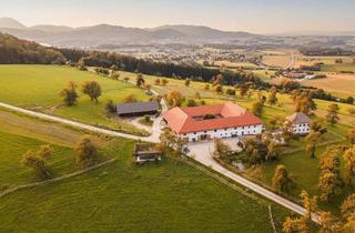 Bauernhäuser zu kaufen in 4816 Gschwandt, FÜR PFERDE-LIEBHABER!Traditioneller Vierkanthof mit 6 Boxen