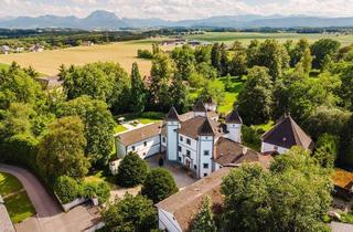 Haus kaufen in 4693 Desselbrunn, Renaissance-Traum im Salzkammergut Wohnschloss mit Charme und Historie