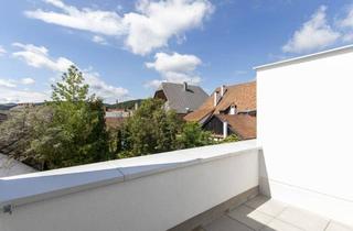 Wohnung mieten in Hammergasse 3-5, 3150 Wilhelmsburg, Sonnige Dachterrassenwohnung in Wilhelmsburg