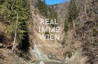 Grundstück zu kaufen in 5660 Taxenbach, Waldparadies in Taxenbach - 13.141 m² Natur pur