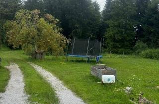 Grundstück zu kaufen in Moosstrasse, 5020 Salzburg, Freizeitgund mit Wald Wiese und fischteich