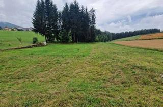 Grundstück zu kaufen in Lebing 182, 8234 Lebing, Sonniger, absolut ruhiger Baugrund ohne Bauzwang