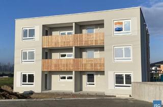 Wohnung mieten in Brucknerstraße 12, 4961 Mühlheim am Inn, ERSTBEZUG 3-Zimmer Whg. in Mühlheim am Inn, Top 3 im EG,