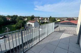 Wohnung mieten in 4482 Ennsdorf, Geförderte 3 Zimmer-Wohnung im Dachgeschoss mit Miete-Kaufoption & Stundungsvariante