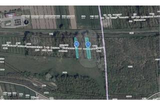 Grundstück zu kaufen in 2185 Prinzendorf an der Zaya, 2 Waldgrundstücke in Ebersdorf an der Zaya!
