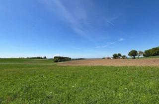 Haus kaufen in 4794 Kopfing im Innkreis, MIETEN oder KAUFEN