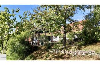 Haus kaufen in 8383 Eisenberg an der Raab, Einzigartiges Anwesen im Südburgenland – 5 ha | Skulpturenpark | ca. 2.000 mᒾ Naturteich