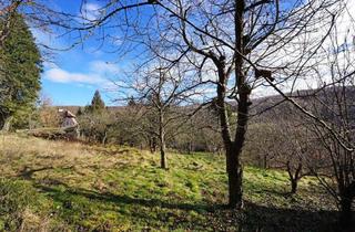 Grundstück zu kaufen in 3001 Mauerbach, Grundstück mit Panoramablick an der Wiener Stadtgrenze