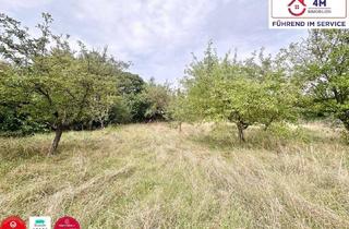 Grundstück zu kaufen in 2721 Bad Fischau, Traumgrundstück in Bad Fischau – perfekte Lage für Ihr neues Zuhause!