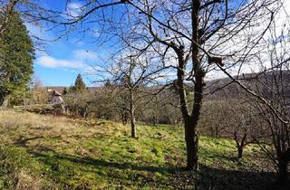 Grundstück zu kaufen in 3001 Mauerbach, Grundstück mit Panoramablick an der Wiener Stadtgrenze