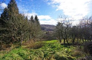 Grundstück zu kaufen in 3001 Mauerbach, Grundstück mit Panoramablick an der Wiener Stadtgrenze