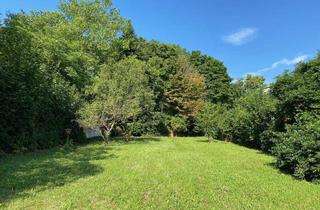 Grundstück zu kaufen in 2372 Gießhübl, Perfekte Maße!