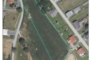 Grundstück zu kaufen in 7551 Stegersbach, Baugrundstück in Stegersbach für gewerbliche und private Projekte! BAUTRÄGER aufgepasst!