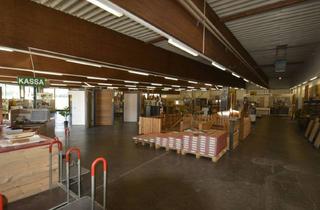 Lager mieten in Gewerbepark S 5, 3500 Krems an der Donau, Verkaufsfläche an gut frequentierter Stelle im Kremser Gewerbepark direkt bei Anschluss zur S5