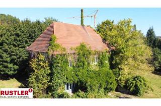 Villen zu kaufen in 4840 Vöcklabruck, HISTORISCHE VILLA IN VÖCKLABRUCK