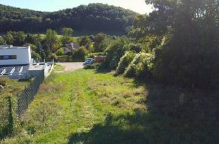 Grundstück zu kaufen in 2371 Hinterbrühl, "Baugrundstück, vor den Toren Wien`s!"