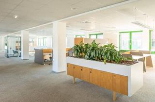 Büro zu mieten in Erzherzog-Karl-Straße, 1220 Wien, Großraumbüro