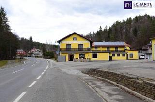 Immobilie kaufen in Aichberg, 8552 Eibiswald, Kurze Vermietung am Fuße der Soboth: 666 m² mit großem Potenzial – Kreativer Umbau für Ihre erfolgreiche Airbnb- oder Booking-Vermietung!