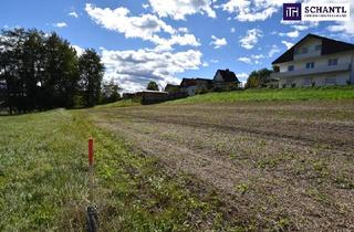 Grundstück zu kaufen in 8524 Bad Gams, Ihr ganz persönliches Paradies wartet auf Sie: Ländliche Idylle trifft auf perfekte Anbindung – Nur 25 Minuten von Graz entfernt! Tauchen Sie ein in Ruhe und Natur