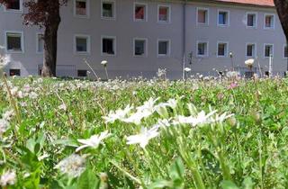 Wohnung mieten in Karl-Punzer-Straße, 4400 Steyr, Ruhige Wohnidylle mit Ausblick – lichtdurchflutete 3-Zimmer-Wohnung mit Loggia im obersten Stockwerk und idealer Lage im Herzen von Münichholz!