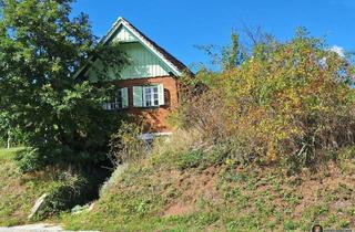 Haus kaufen in 7474 Eisenberg an der Pinka, Eisenberg: Uriger Holzkeller mit Weingarten!