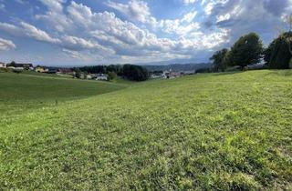 Grundstück zu kaufen in 8151 Hitzendorf, Bauen Sie, bauen Sie! Baugrund mit attraktiver Aussicht