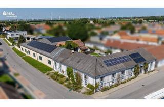 Gewerbeimmobilie kaufen in 2471 Pachfurth, Seltene Gelegenheit, vielseitige Liegenschaft (Zweifamilien- Wohnhaus, Lagermöglichkeiten, moderne Bürogebäude etc.) - mit idealer Anbindung an die A4 – Wien – Slowakei – Ungarn