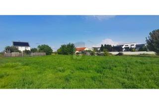 Grundstück zu kaufen in 7123 Mönchhof, GUT GESCHNITTEN - ZWEI ZUFAHRTEN - RUHELAGE