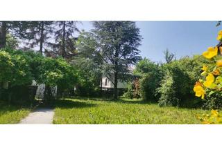 Grundstück zu kaufen in 2601 Sollenau, SOMMERGENUSS IM GARTEN - VERKEHRSBERUHIGTE LAGE