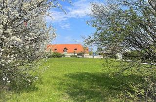 in 8591 Maria Lankowitz, WALLFAHRTSORT MARIA LANKOWITZ - SONNIGER BAURECHTSGRUND