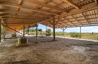 Gewerbeimmobilie kaufen in 2301 Groß-Enzersdorf, "Großzügiges Grundstück mit Pferdehof und sanierungsbedürftigem Haus – nur Minuten von Wien entfernt"
