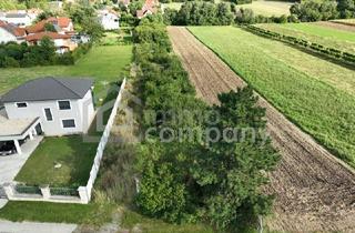 Grundstück zu kaufen in 2452 Mannersdorf am Leithagebirge, So gut wie keine Nachbarn neben dir - lässiges Grundstück in Mannersdorf/Leithagebirge zu verkaufen!