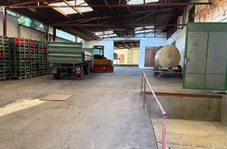 Lager mieten in 2170 Poysdorf, Wohnwageneinstellplätze