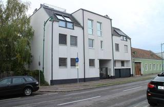 Wohnung mieten in Hauptstraße 47, 2326 Maria-Lanzendorf, Neubau Zweizimmer Maria Lanzendorf mit neuer Küche und Badewanne