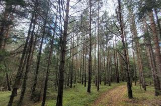 Immobilie kaufen in 3650 Pöggstall, 8 Hektar Wald auf 2 Parzellen im Waldviertel