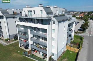 Wohnung mieten in Widerinstraße 18A, 3100 Sankt Pölten, Wundervolle Dachgeschosswohnung mit großer Dachterrasse