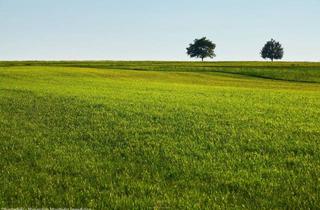 Grundstück zu kaufen in 2230 Gänserndorf, Attraktives Bauträgergrundstück in 2230 Gänserndorf – ca. 17.500 m² Bauland